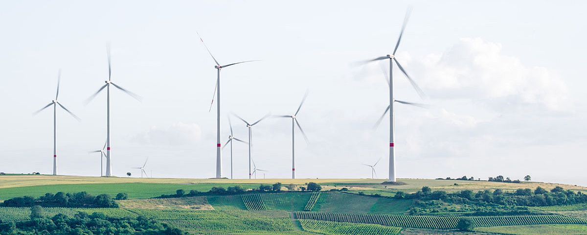 Mehrere hohe Windräder stehen nebeneinander